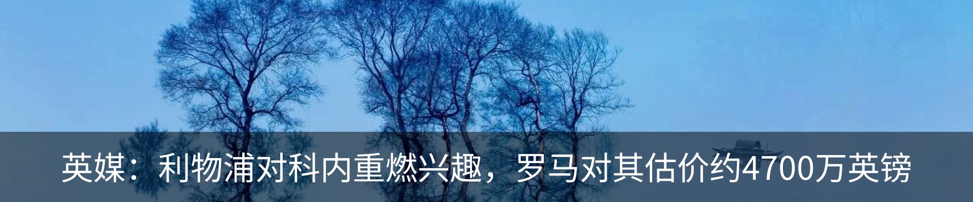 新闻中心